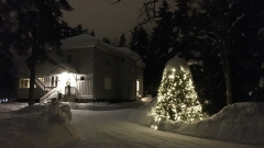 Hunajakoto helmikuussa iltayöstä Hunajakoto helmikuussa iltayöstä