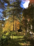 putarhanäkymää lokakuun alussa putarhanäkymää lokakuun alussa
