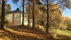 puutarhanäkymää lokakuun puolivälissä puutarhanäkymää lokakuun puolivälissä